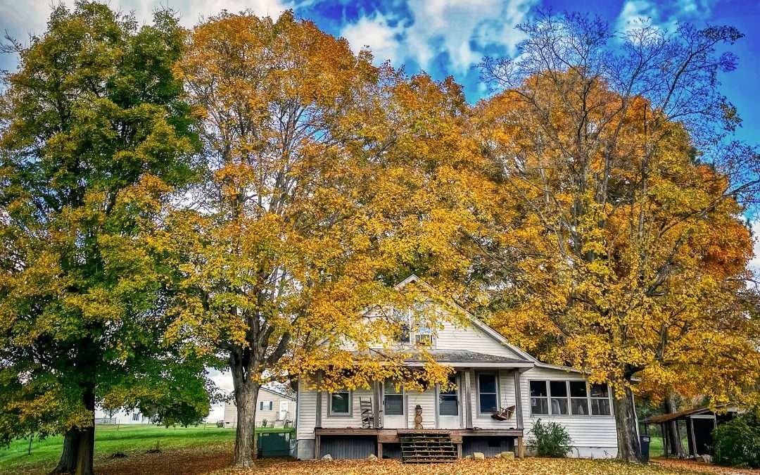 Winterize Your Home | 15-Step Guide