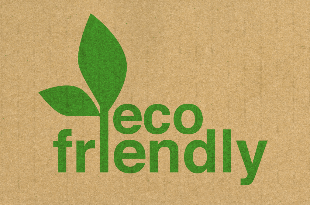 Eco-Friendly Insulation Options